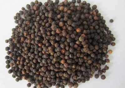 Vietnam Black Pepper